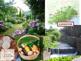 Vente en nue propriété