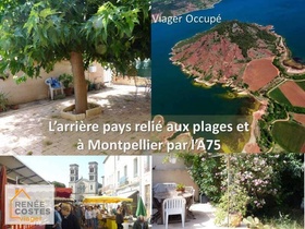 Viager occupé