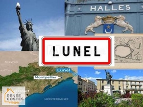 Viager occupé