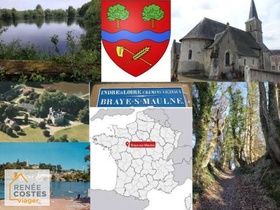 Viager occupé