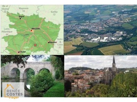 Viager occupé