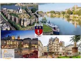 Viager occupé