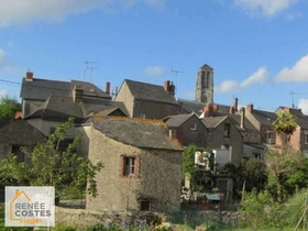 Viager occupé