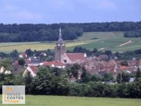 Viager occupé