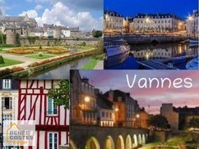 Viager occupé