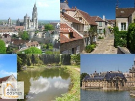 Viager occupé