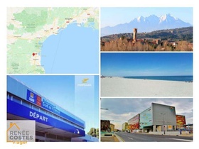 Viager occupé