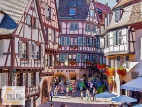 Viager occupé - Haguenau