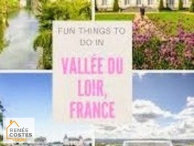 Viager occupé