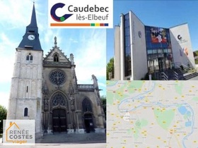 Viager occupé