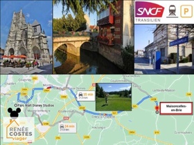 Viager occupé