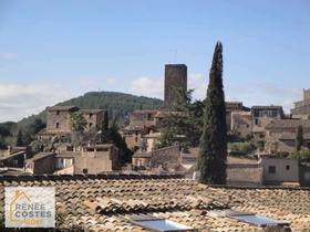 Viager occupé