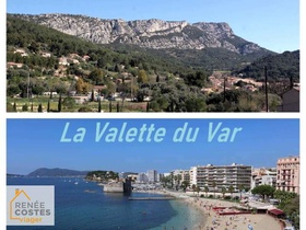 Viager occupé