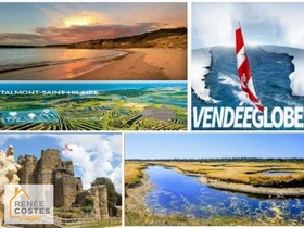 Viager occupé