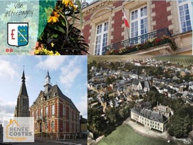 Viager occupé