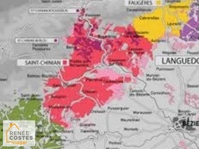 Viager occupé