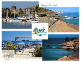 Viager occupé