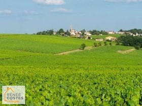 Viager occupé