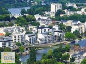 Viager occupé