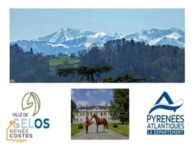Vente à terme occupée