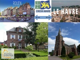 Viager occupé
