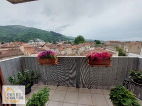 Viager occupé