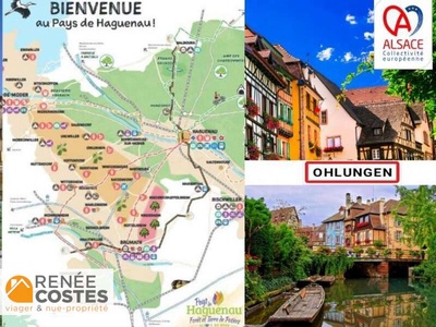 Viager occupé