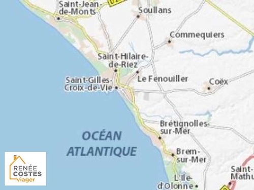 Viager occupé