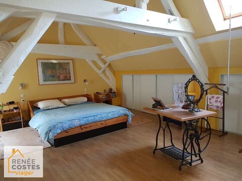 Viager occupé