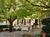 Viager libre - L'Isle-sur-la-Sorgue