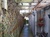 Viager occupé - Port-en-Bessin-Huppain