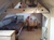 Viager occupé - Port-en-Bessin-Huppain