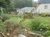 Viager occupé - Pontivy