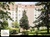 Vente à terme occupée - Dijon