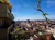 Viager occupé - Toulouse