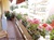 Vente en nue propriété - Roquebrune-Cap-Martin