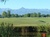 Viager occupé - Tarbes