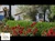 Vente en nue propriété - Saint-Cyprien