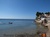 Vente à terme libre - La Seyne-sur-Mer