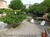 Viager occupé - Toulon