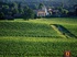 Viager occupé - Castelnau-de-Médoc