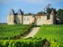 Vente en nue propriété - Sauternes