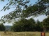 Viager occupé - Bergerac